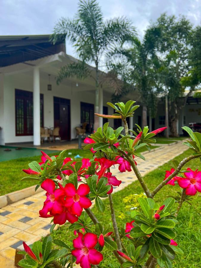 Sigiriya Green Garden Home Экстерьер фото